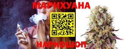 индика Обь