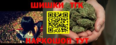 индика Обь