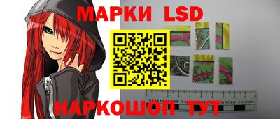 индика Обь