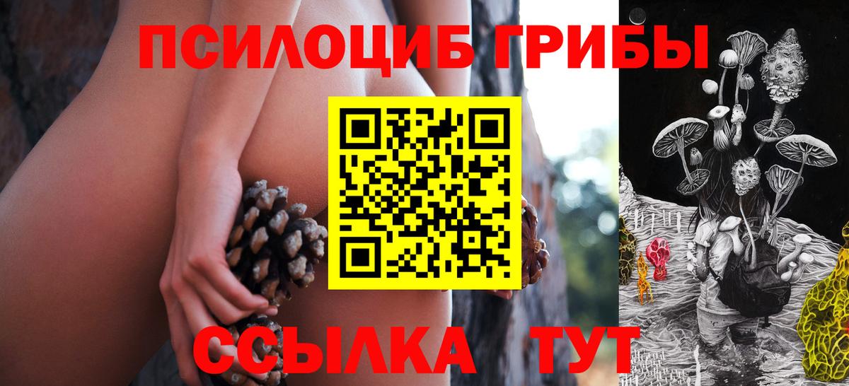 Псилоцибиновые грибы ЛСД Тимашёвск