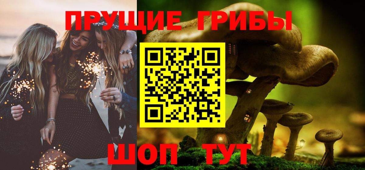 Галлюциногенные грибы MAGIC MUSHROOMS  Вход с VPN  Тимашёвск 